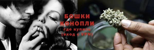 прущие грибы Лагань