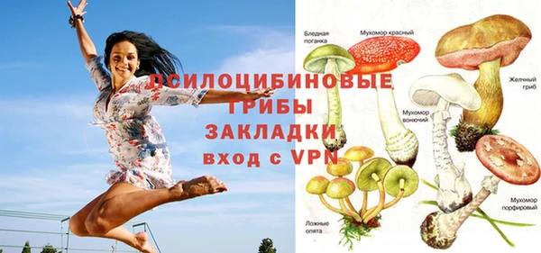 Альфа ПВП Лихославль