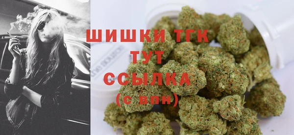 мет Ладушкин