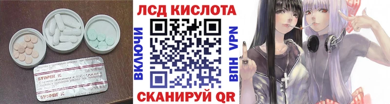 LSD-25 экстази ecstasy  Купить  Каргополь 