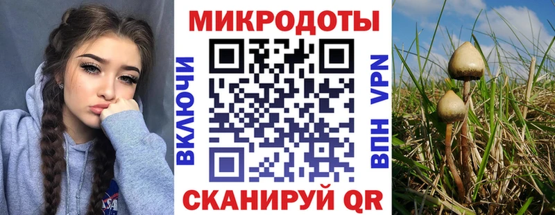 Псилоцибиновые грибы Psilocybe  Купить  Каргополь 