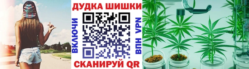 Купить закладки  Каргополь  Бошки марихуана марихуана 